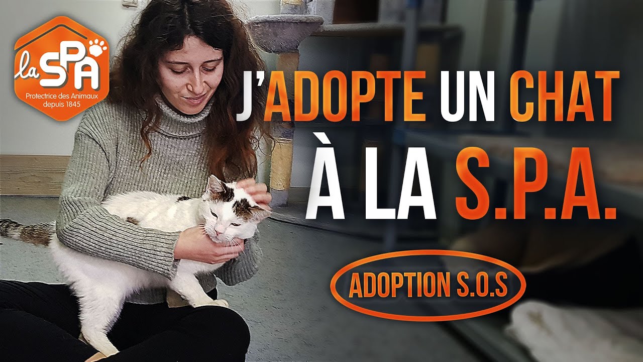 J'ADOPTE UN 
