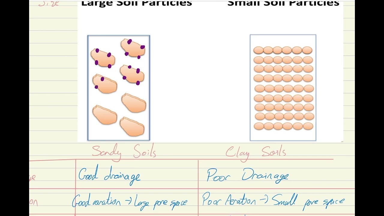 Sandy soil vs Clay soil