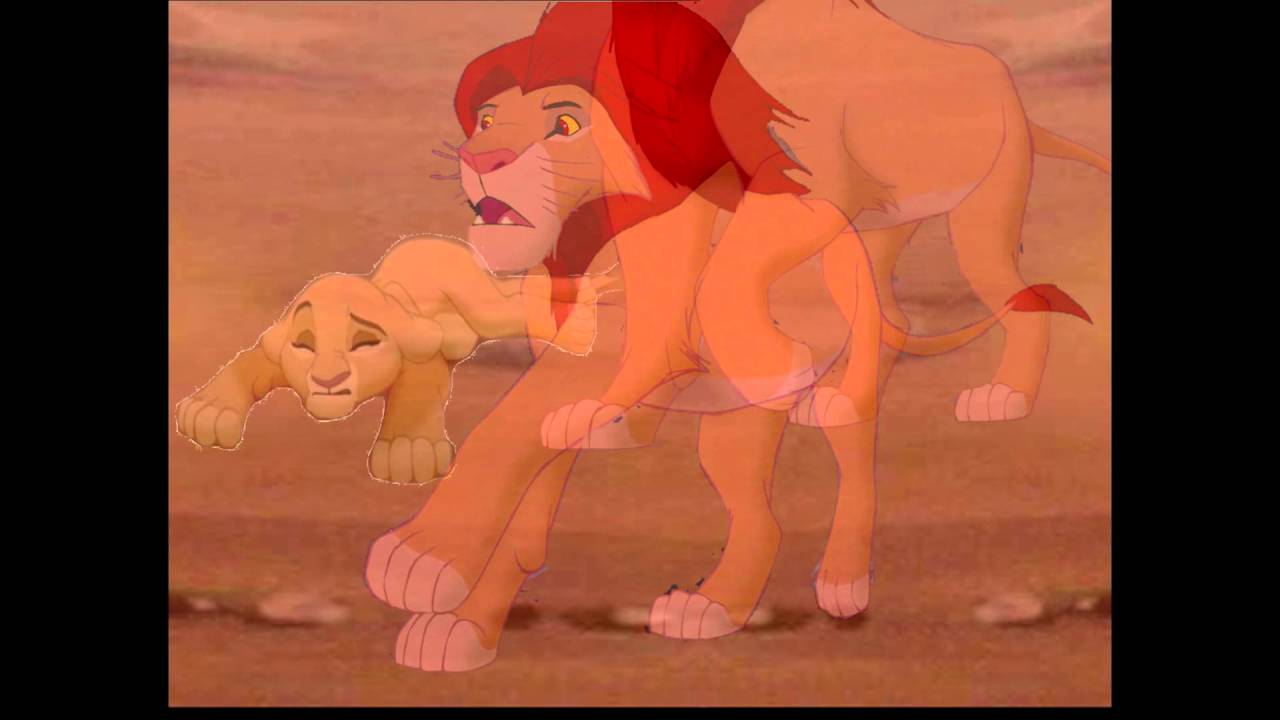Stampide The Lion King A Sad Story (Estampida El Rey León Triste Historia)