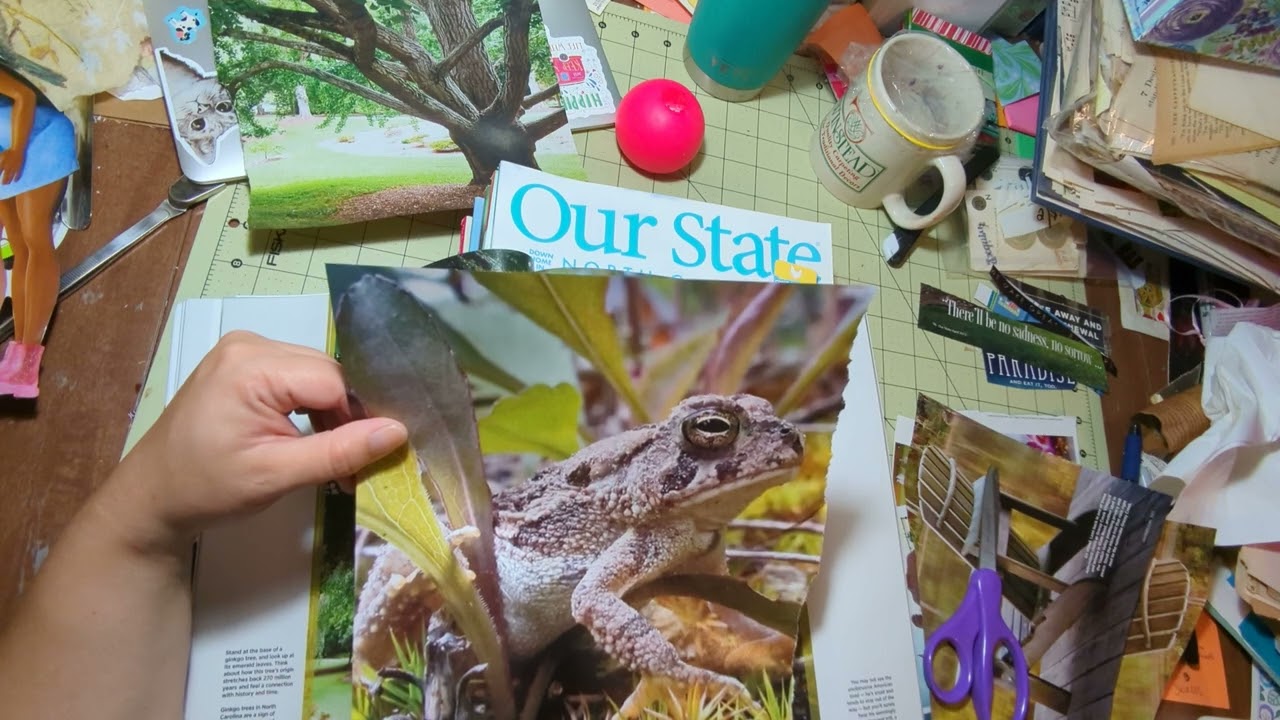 Chill, Relaxed Magazine Harvest from some almost old magazines