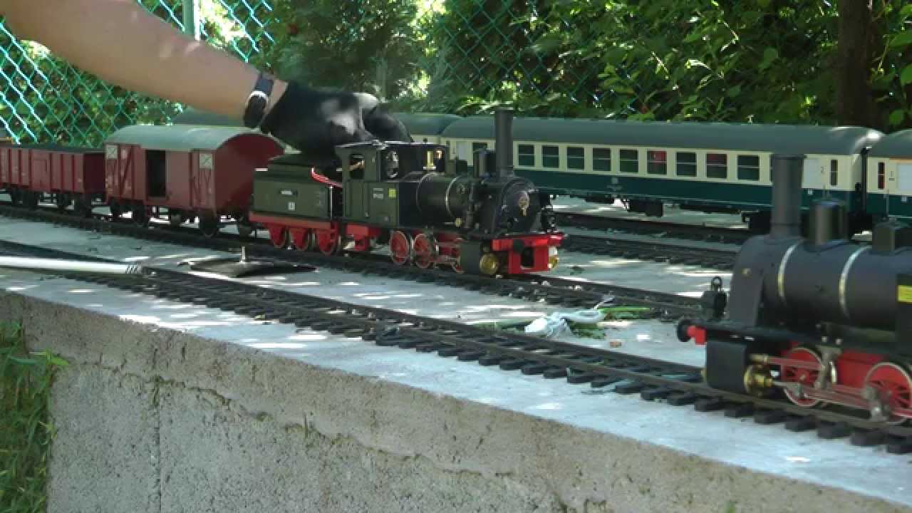 Guest Steaming 11.07.2015
