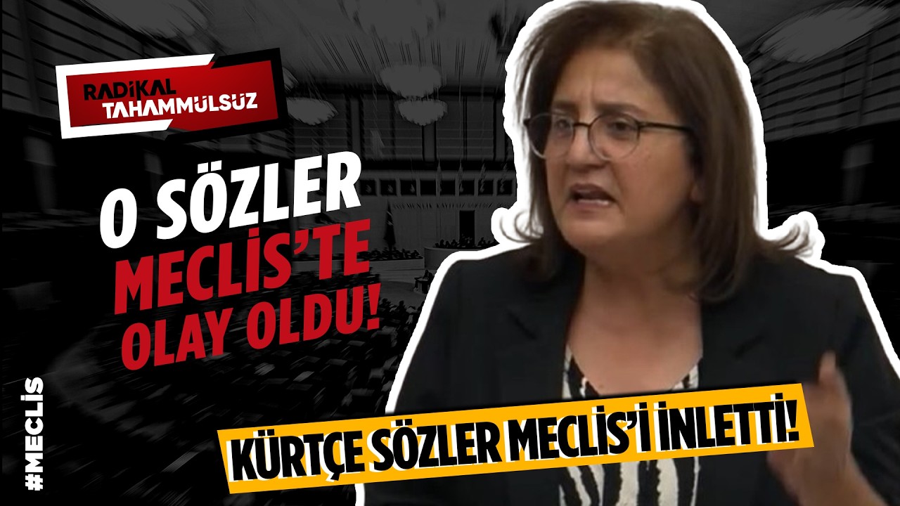 TBMM’de 'Kürtçe' sözler yükseldi! DEM’li isim konuştu, genel kurul sessizleşti | ARŞİV