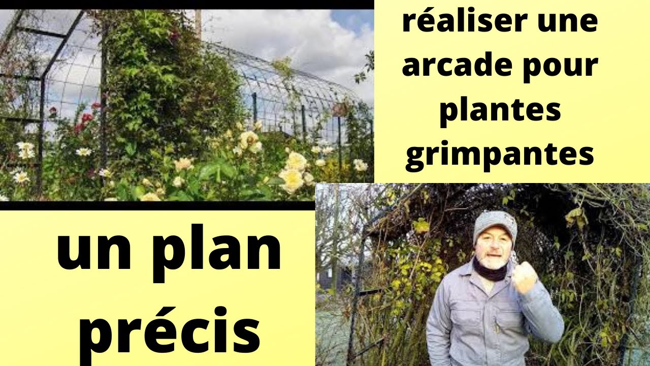 Comment réaliser une arcade pour plante grimpante