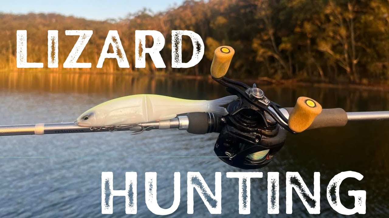 Flathead Fishing the South Coast. Swimbaits & Jerkbaits
