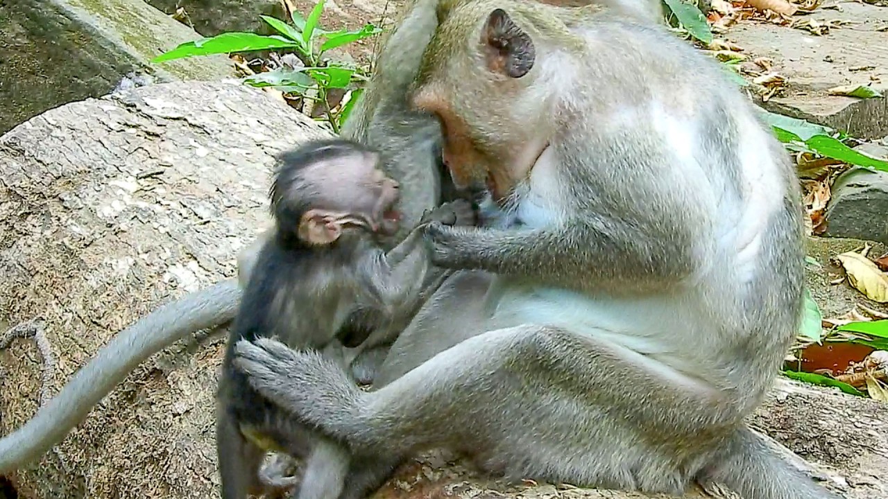 No motherhood.. Mom JAZZY was ready to lesson her kid about her official rule we@ning.