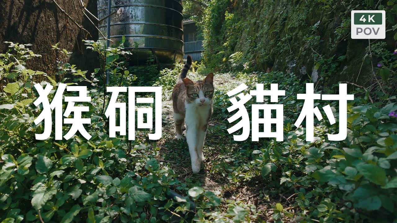漫遊猴硐貓村｜Houtong Cat Village, Ruifang New Taipei City｜4K60