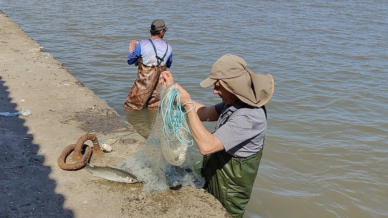 Pescarias de tarrafas,23-10-24,  Pesqueiro do Bueiro, Imbé, RS. #pescadetarrafa #mulletfishing