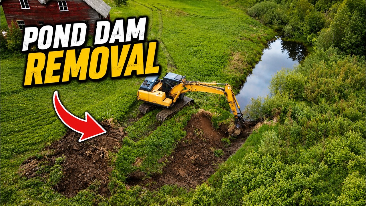 Muddy Pond Renovation and Clearing Old Homestead