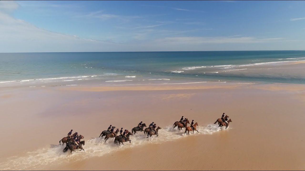 Kings Troop Royal Horse Artillery on Holkham Beach giving their horses a holiday from London.