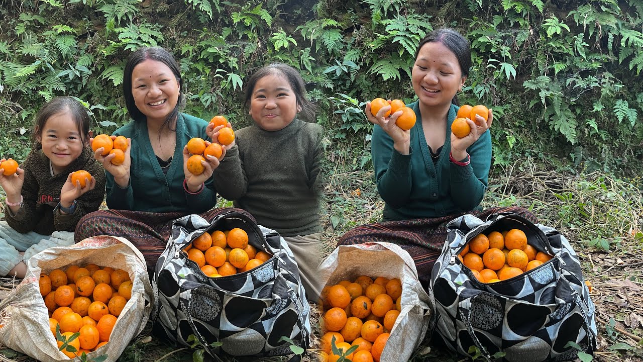 Yati dharai suntala (orange 🍊)phailo choti khayoo😊khani vaya aam hai😂Aaja ko din yasari gayo😩