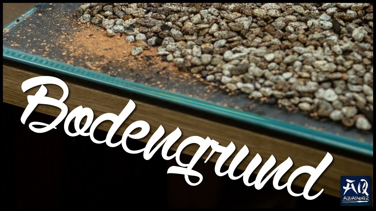 Der optimale Bodengrund im Aquascape | AquaOwner