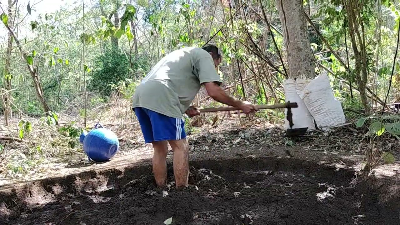 Don Isaías lla está asiendo los adobe para parar la casita😳😳🏚️🏚️