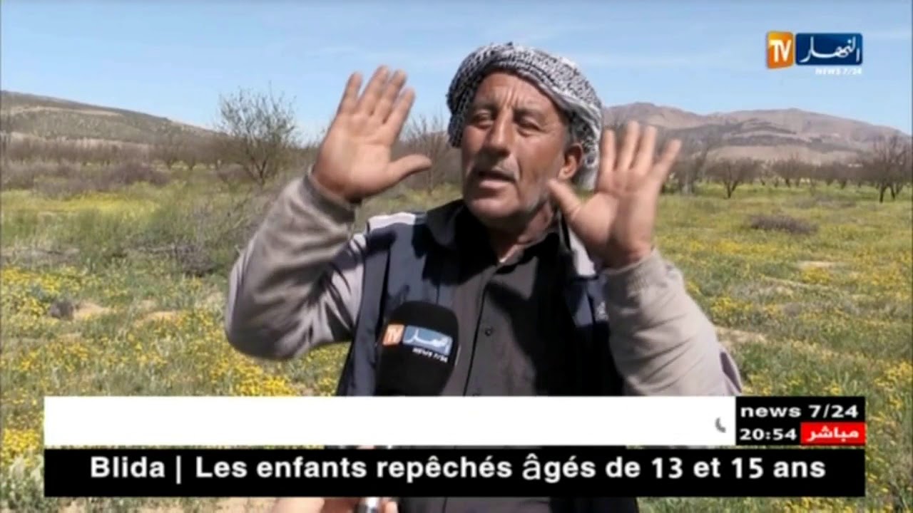 باتنة: 12 ألف شجرة مشمش مهددة بالتلف جراء الجفاف برأس العيون