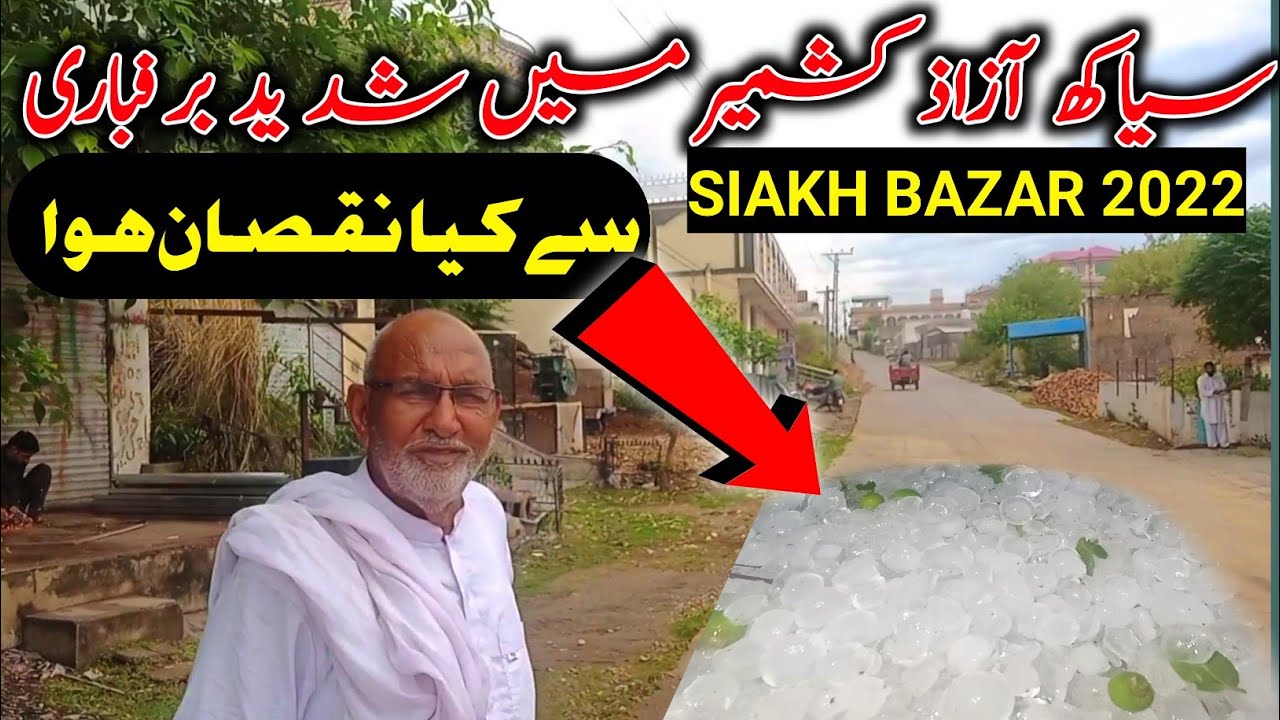 Siakh Bazar Dadyal Azadkashmir 2022 |Morning view after rain | Tree's Leavee destroyed | Heavy Snow