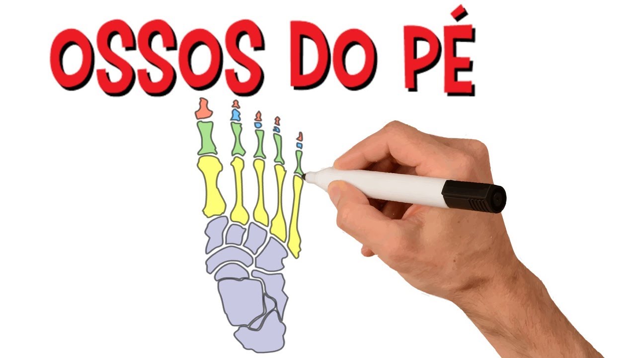 ✅ OSSOS DO P&Eacute; EM 1 MINUTO | Esqueleto Humano