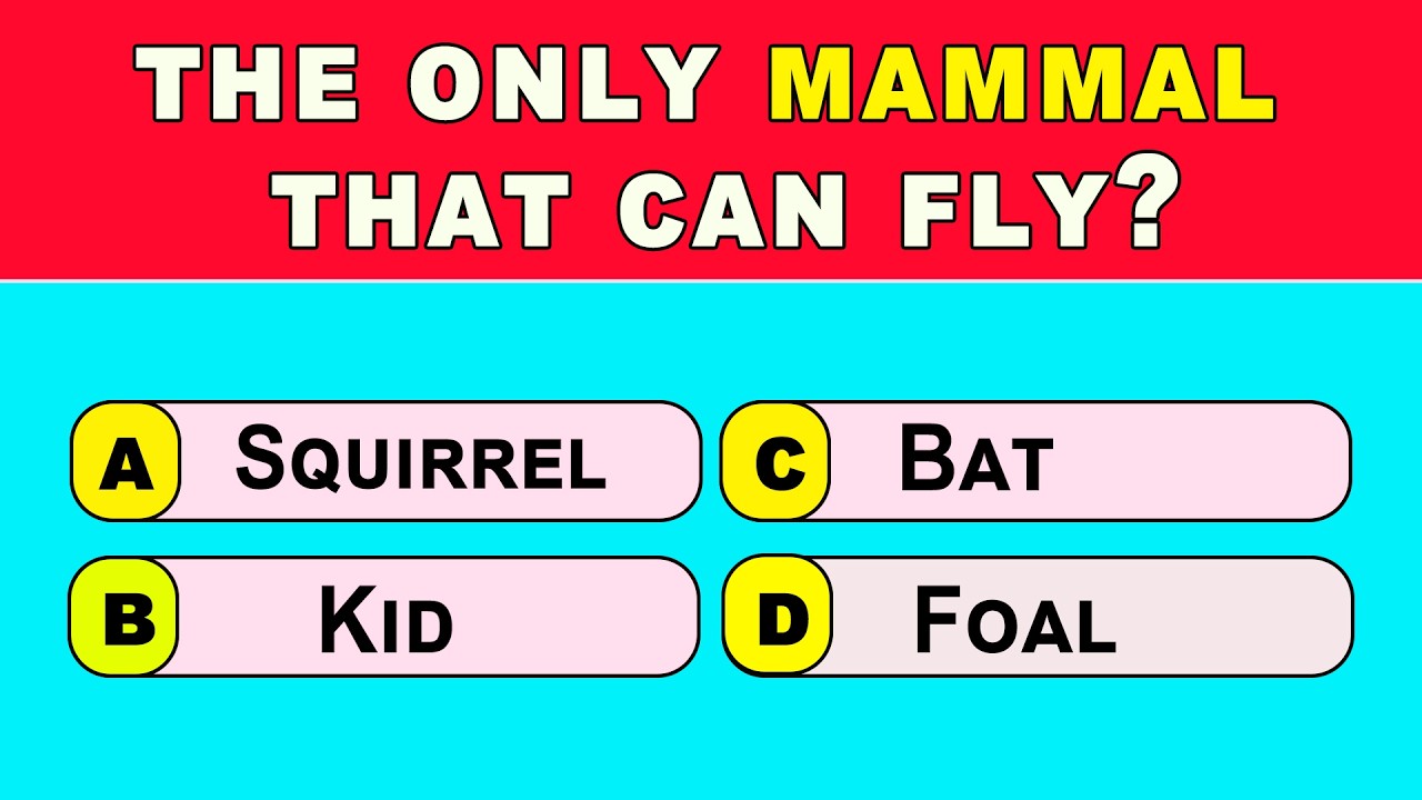 Only 1% of Geniuses Can Score 50/50 on This Impossible Animal Trivia Challenge!