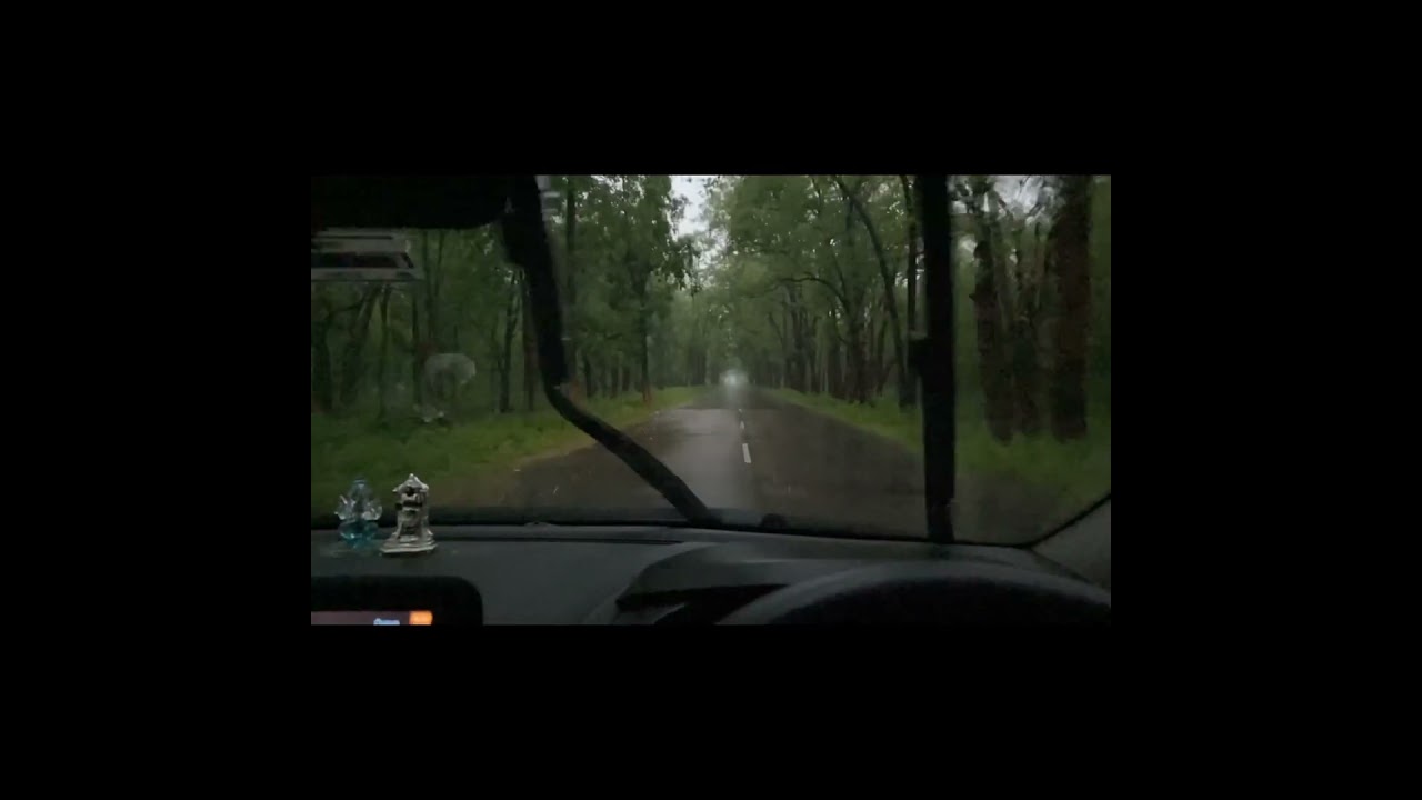 || Eturunagaramforest || Deepforest || Rainingtime || lovemelody || Solodriving