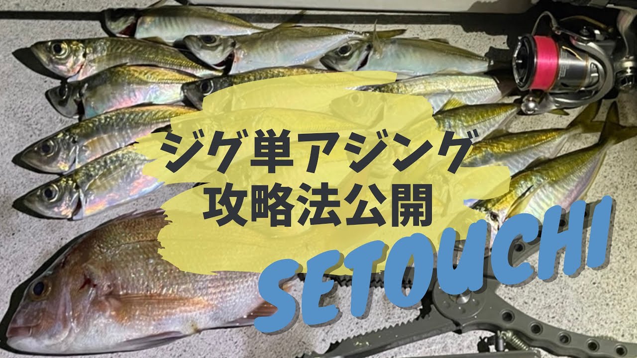 瀬戸内アジング！超簡単に釣れます！！堤防からジグ単で狙うオススメのセッティングやアクションの仕方など詳しくお伝えします。