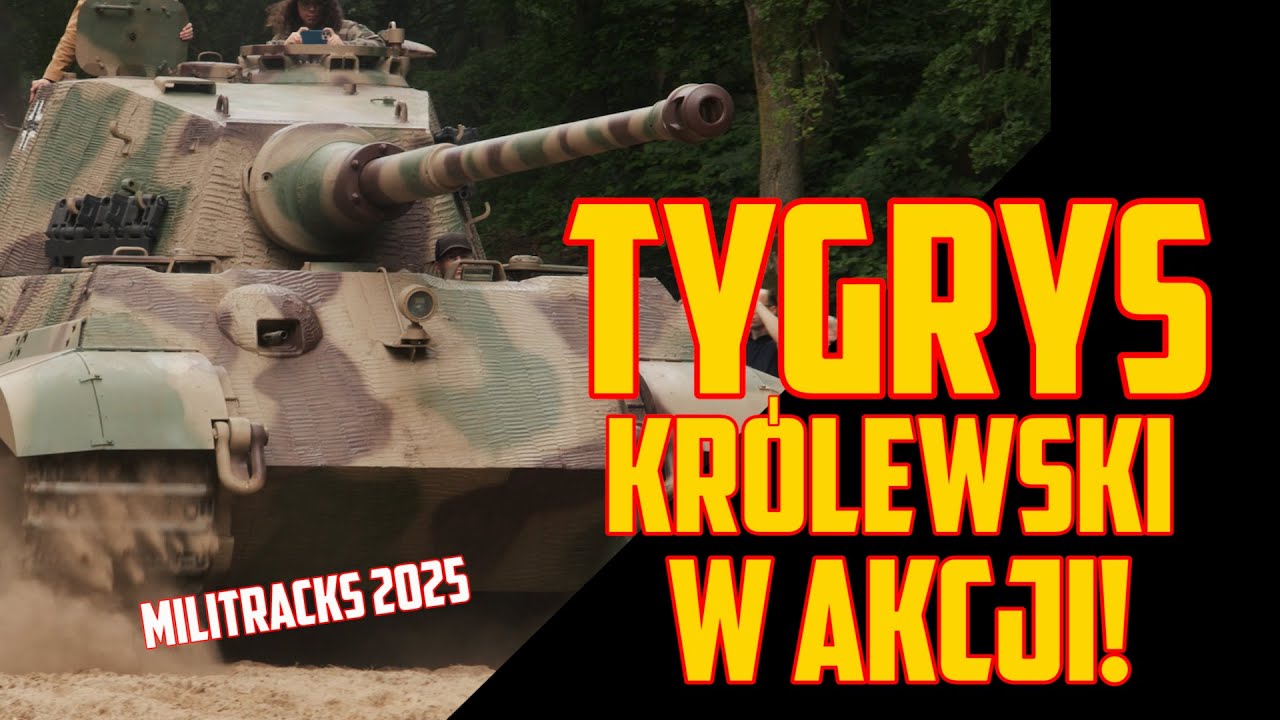 Tygrys Kr&oacute;lewski! Najcięższy czołg II Wojny!