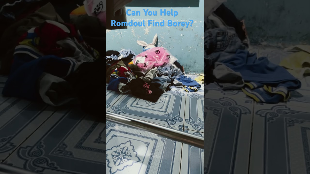 Find Borey #findthebunny