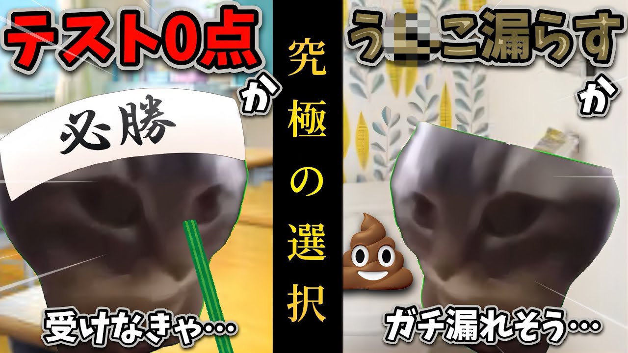 【実話】大事な時に