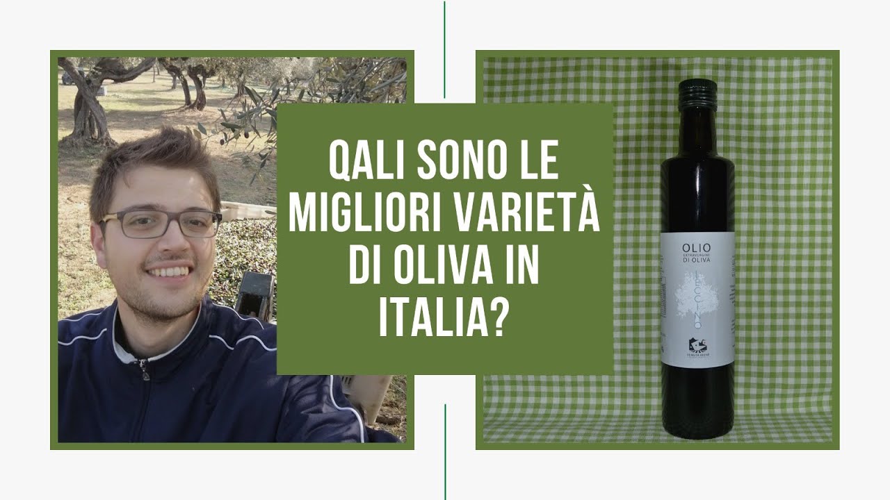 Quali sono le migliori varietà di oliva in Italia?