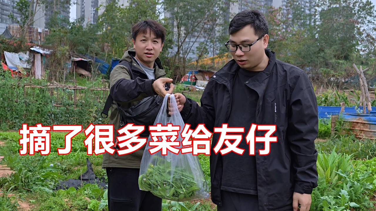 友仔好不容易来一趟，我们摘了很多菜给他带回去吃【我是杰少】