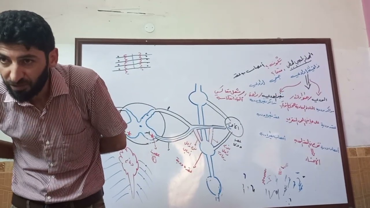 الجهاز العصبي المحيطي