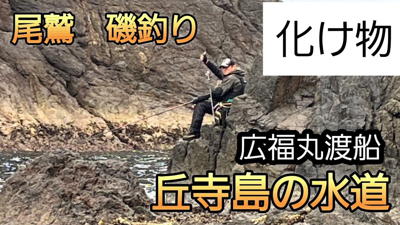 ふかせ釣り　2024年1月3日　尾鷲には化け物が存在する　広福丸渡船　丘寺島の水道　【グレ50オーバーへの道Ver8】