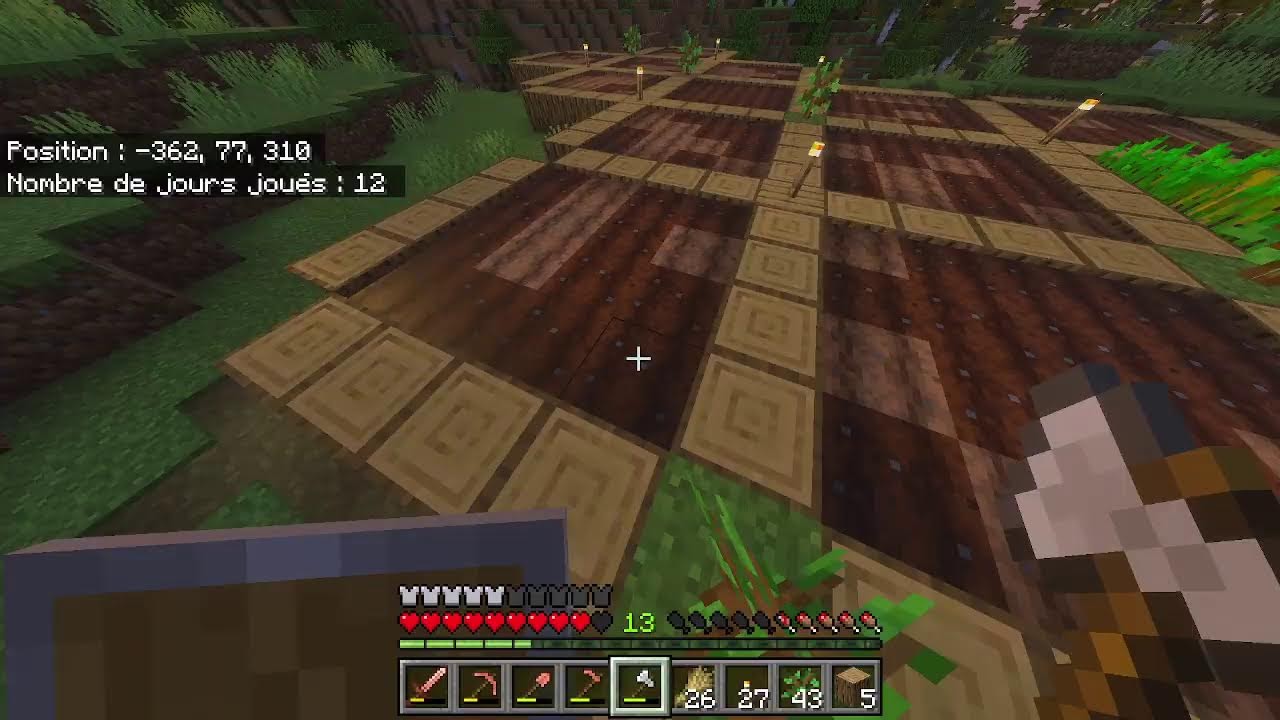 survie minecraft chill