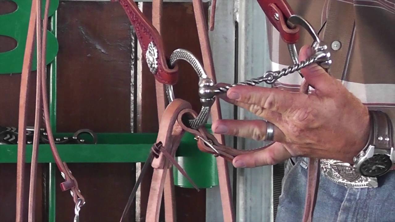 Choosing a Bit Metal Type for Your Horse