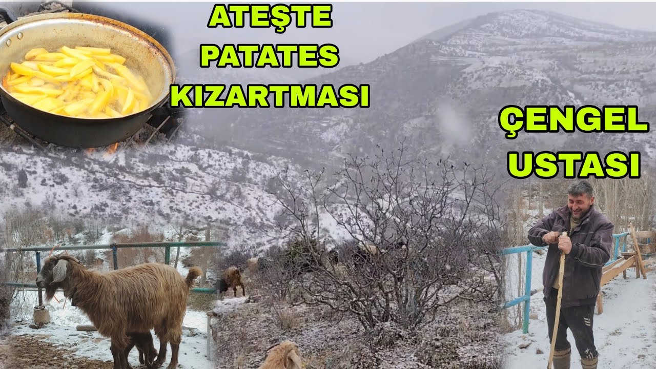 OĞLAK LAR ÇOĞALIYOR KARLI HAVADA KEÇİ GÜDÜMÜ KUZULAR BÜYÜYOR 