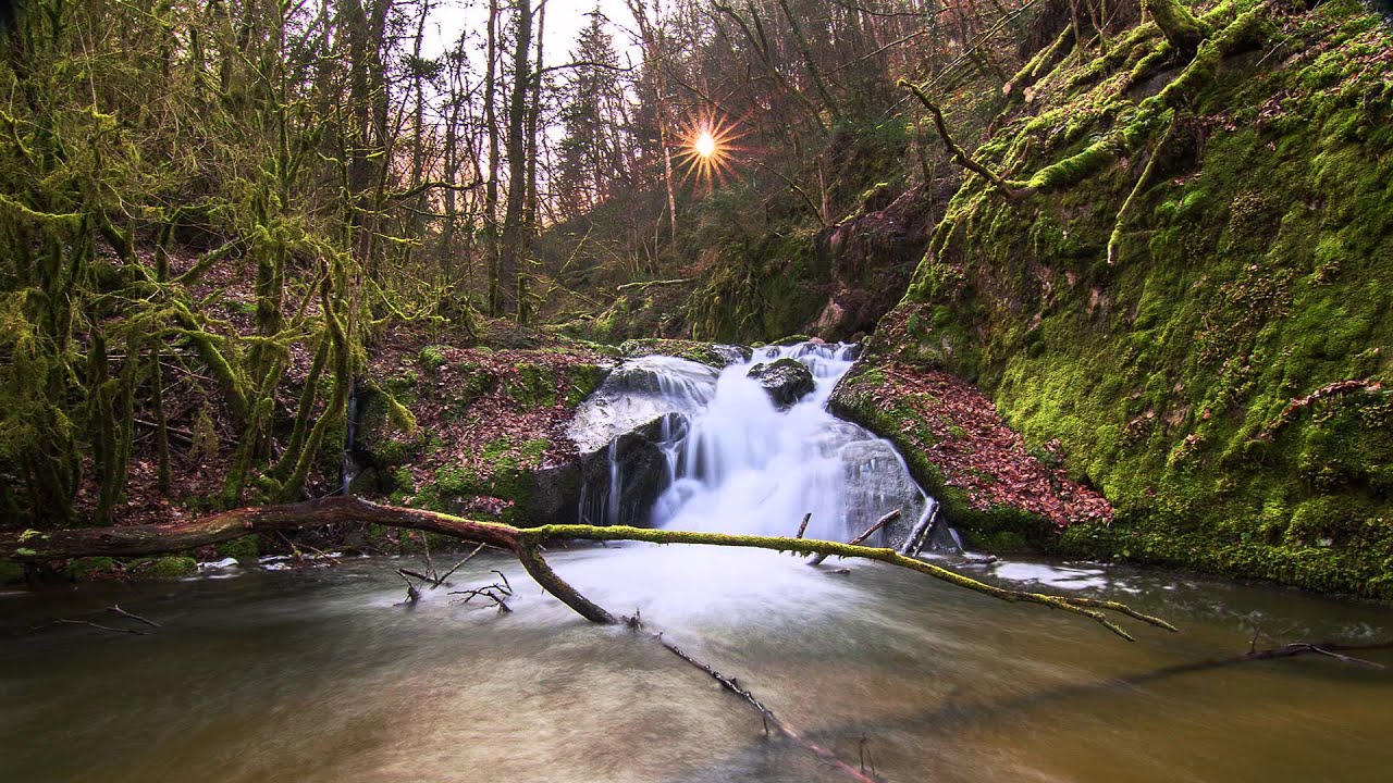 Entretien Rivi&egrave;res, Contrat Dore moyenne, restauration sur les rivi&egrave;res en Livradois-forez