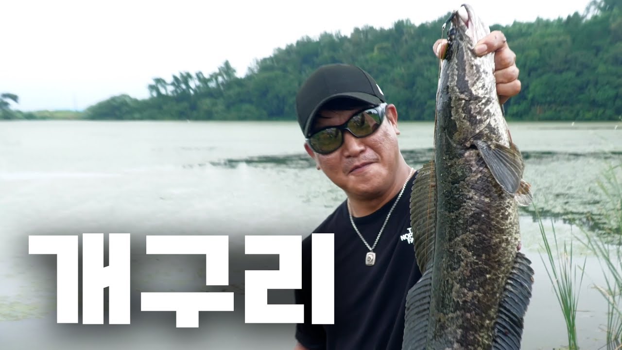[4K] 한 여름 장마시즌 개구리 낚시