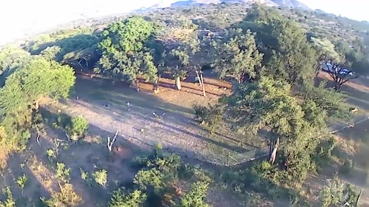 kruger Malelane camp