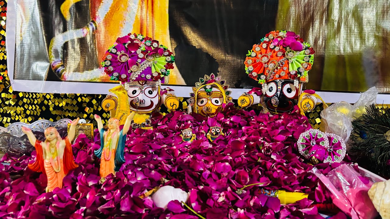 Holi Mahautsav & Shri Gaur Purnima Celebrations 2025 - Hari Katha Sessions