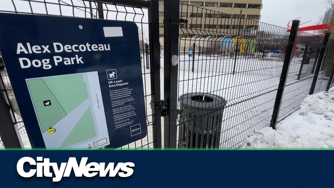 Edmonton creating up to 30 pop-up dog parks