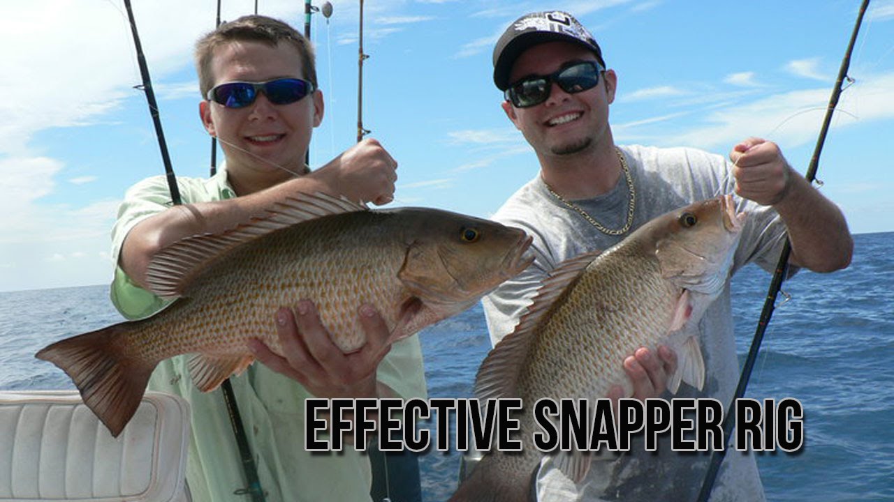 Inshore Snapper Rig Tutorial & Action