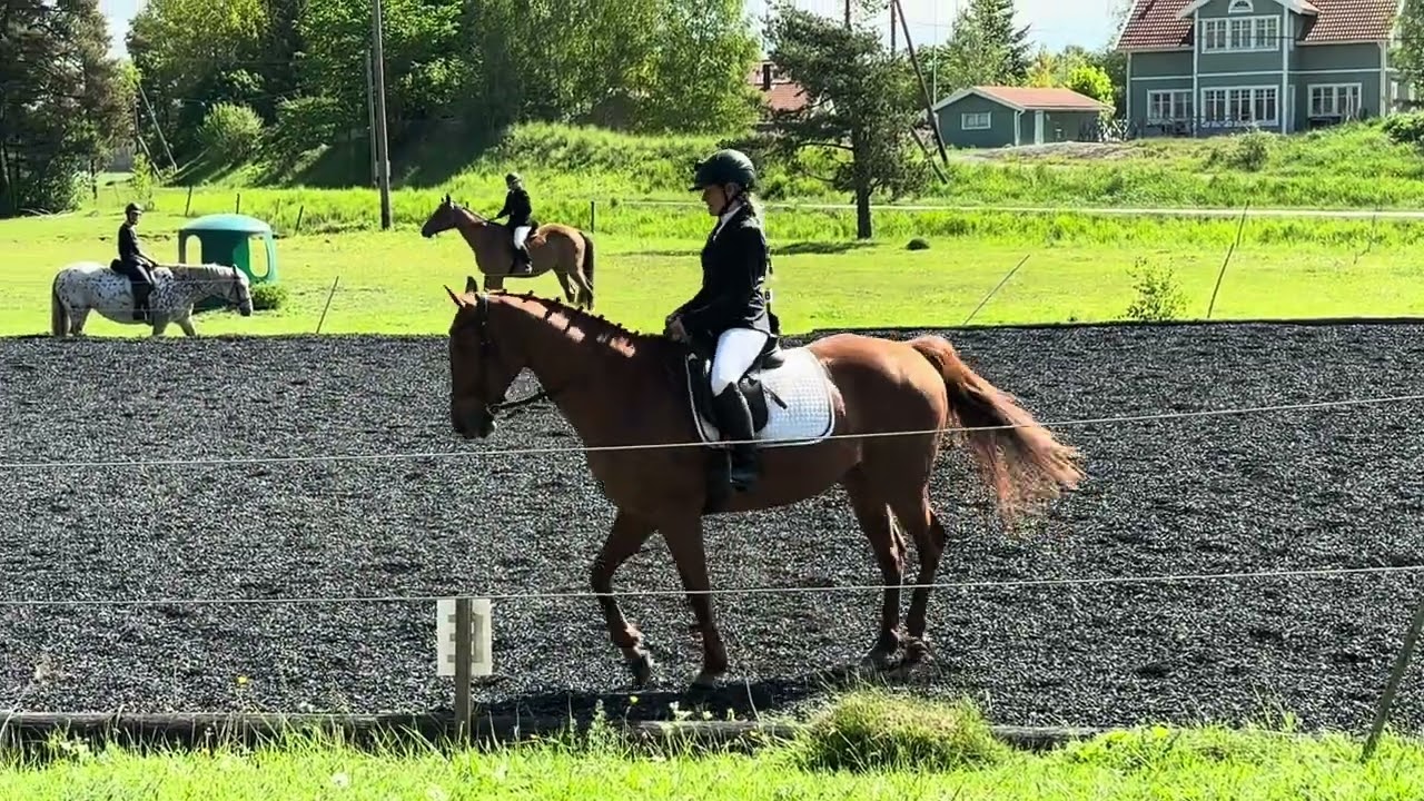 Oredigerad dressyrtävling 29/5 2025