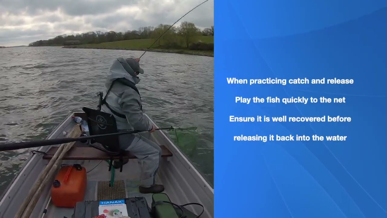 How to Catch & Release #flyfishing #catchandrelease  #rainbowtrout