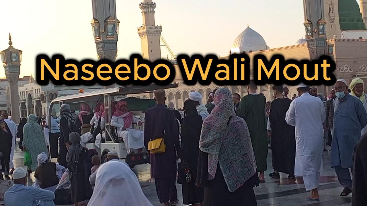 Naseebon Wali Maut Aur Roza-e-Rasool ﷺ Ki Ziyarat | Madinah Sharif ✨#madina