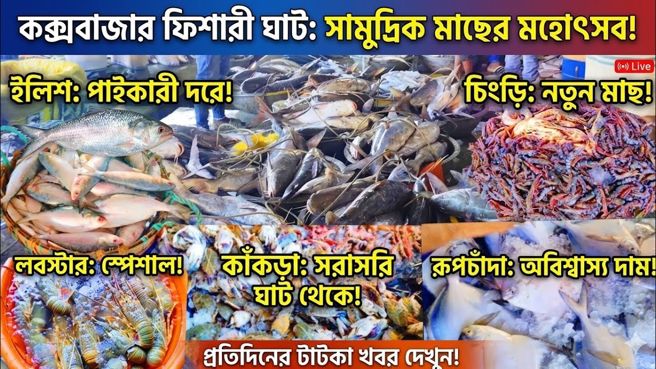 Check the price of some seafood/সামুদ্রিক যে কোনো মাছ কেনতে হলে কক্সবাজার ফিশারি ঘাটে আসতে পারেন