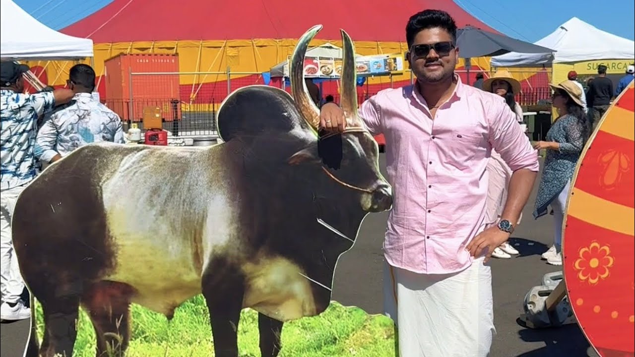 ஆஸ்திரேலியா 🇦🇺 தமிழர்களுடன் Pongal கொண்டாட்டம் 2025 | Melbourne, Australia | Pongal Celebrations
