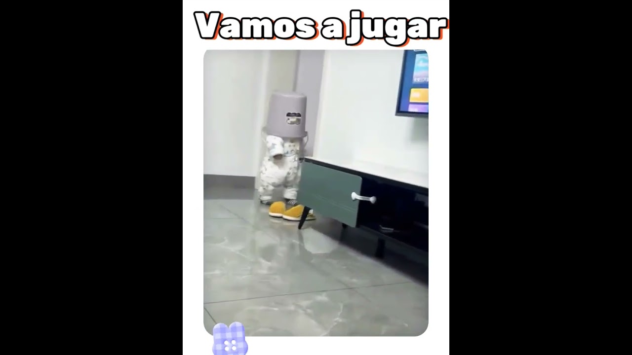 #anael #videosgraciosos