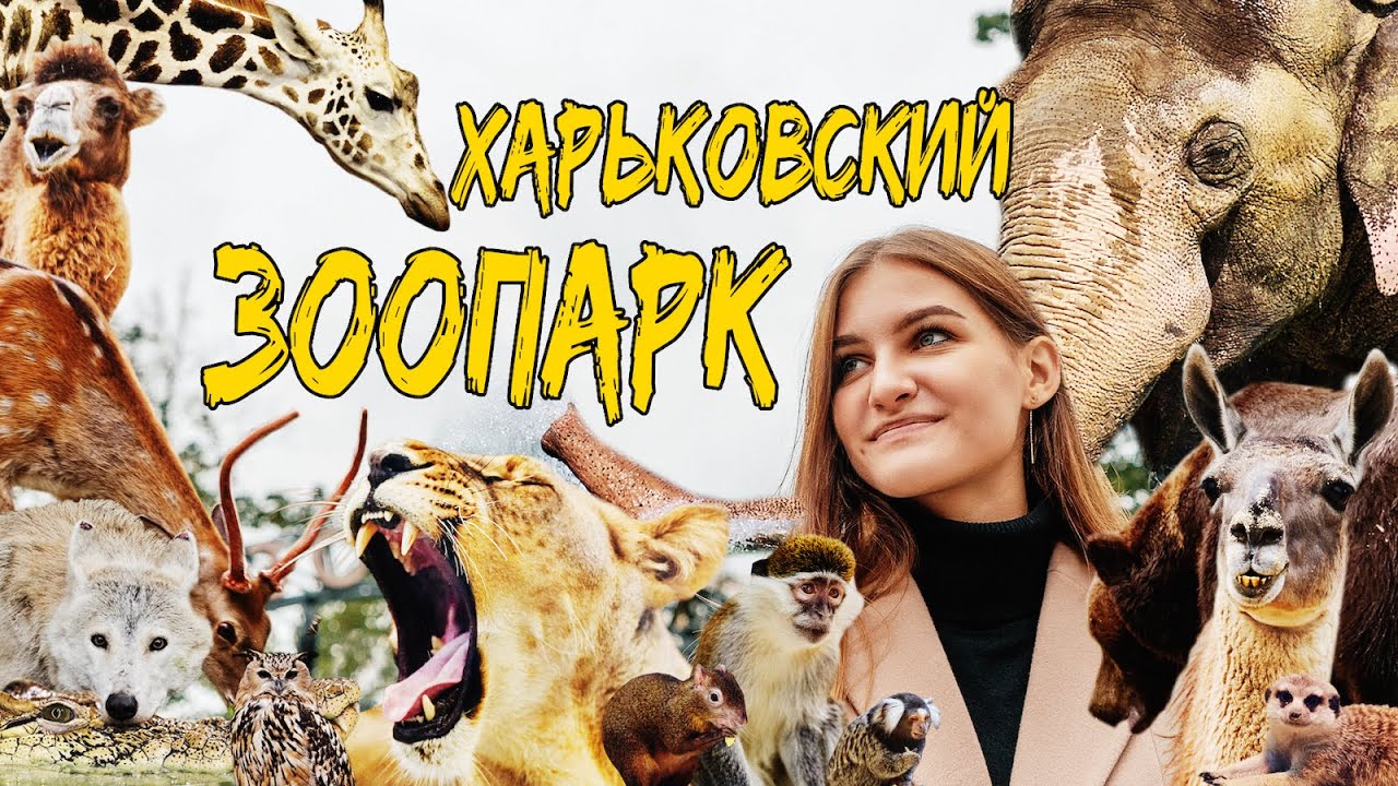 Экскурсия по новому Харьковскому зоопарку