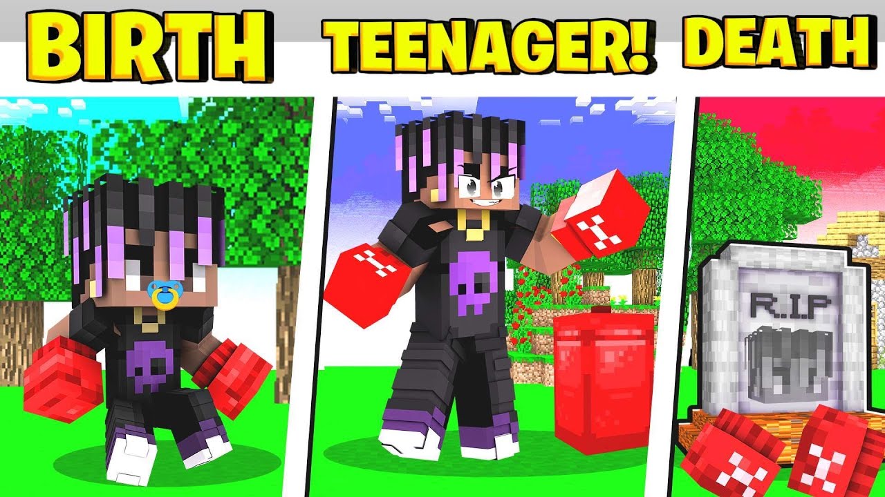BIRTH TO DEATH AS A BOXER IN MINECRAFT😱