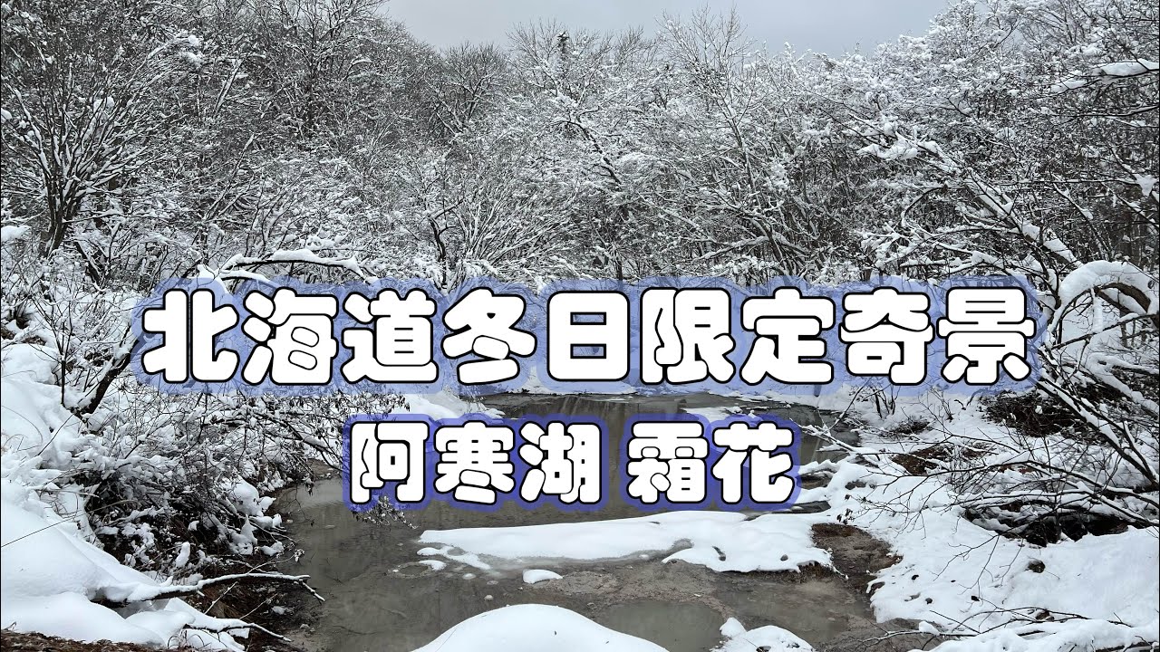 ［釧路 尋找傳說中的霜花 P3 end] 阿寒湖冬日限定絕景 雪中質感木屋 天鵝湖溫泉