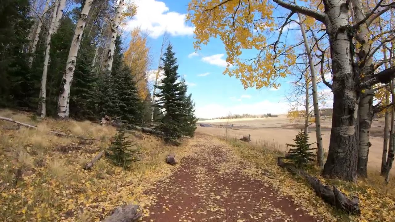 Mount Baldy | East Baldy Trail