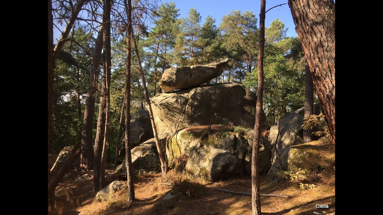 Randonnée en forêt de Fontainebleau sur le sentier bleu n°10 dans le Rocher d'Avon