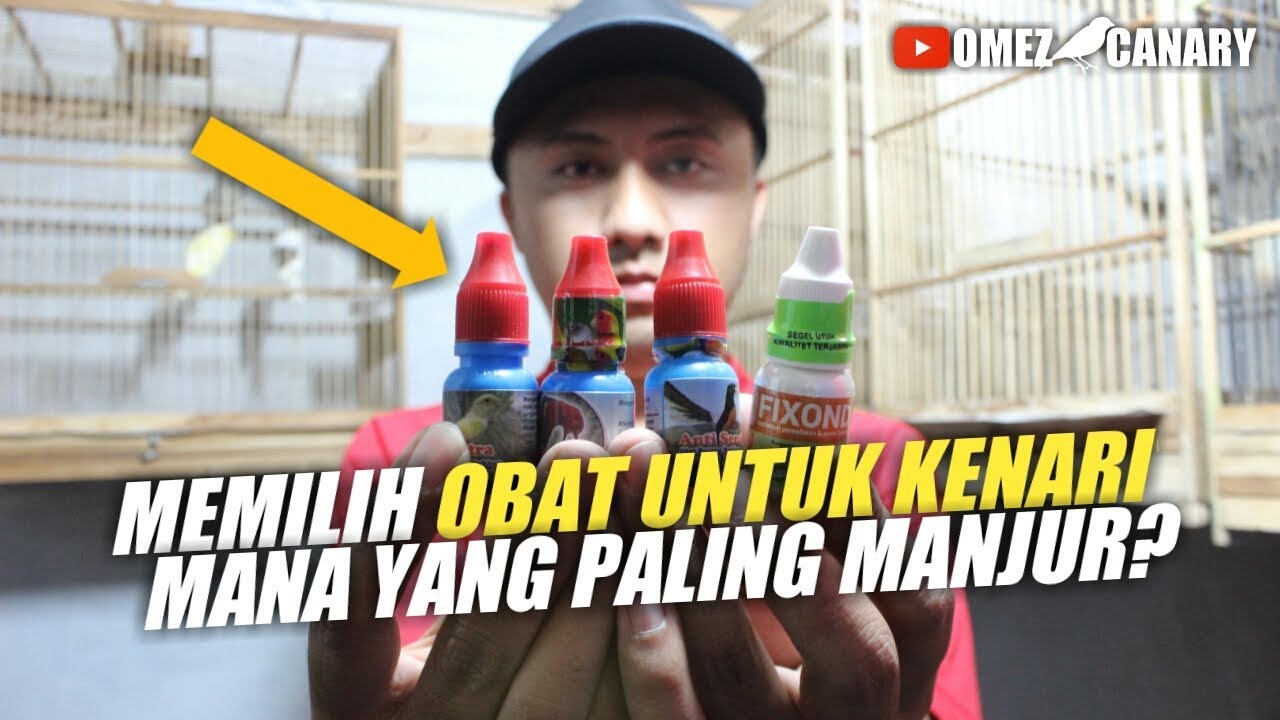 REVIEW OBAT KENARI : Memilih obat untuk kenari sakit yang terbukti manjur dan aman